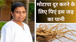 acharya balkrishna tips | vajan ghatane ke upay | weight loss tips | ashwagandha-roots