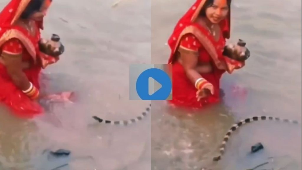 snake viral video, snake, viral video, chat puja viral video,