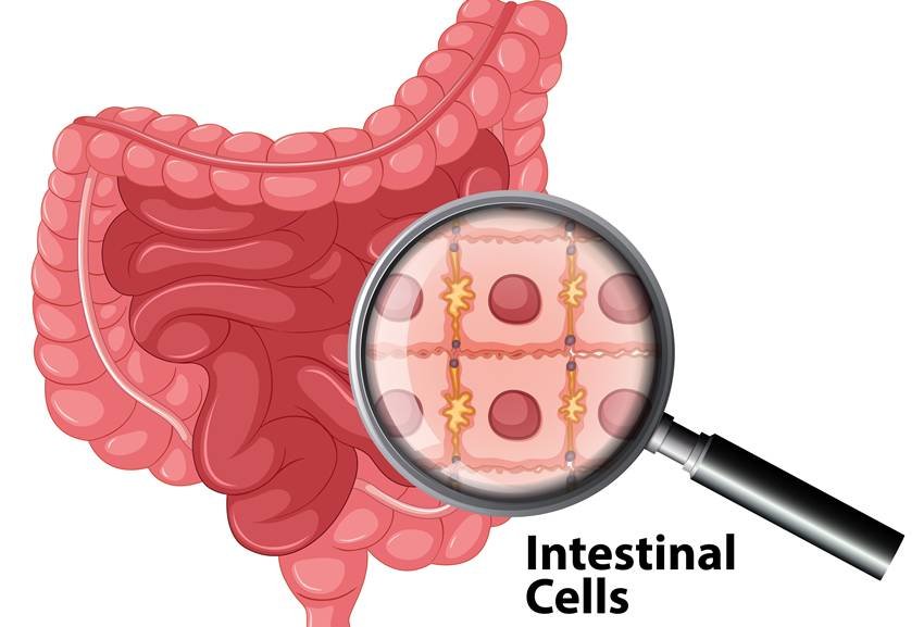 ginger tea for digestion