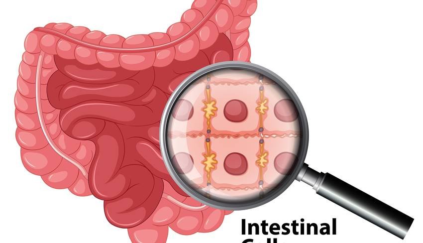 10-minute walk after eating