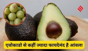 Amla vs avocado benefits