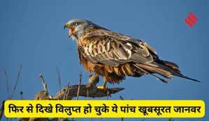 Extinct Animals Comeback