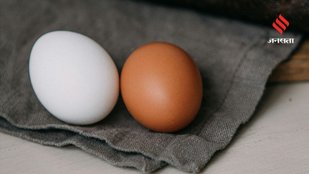 All About Egg Colors Which Type Should You Really Buy