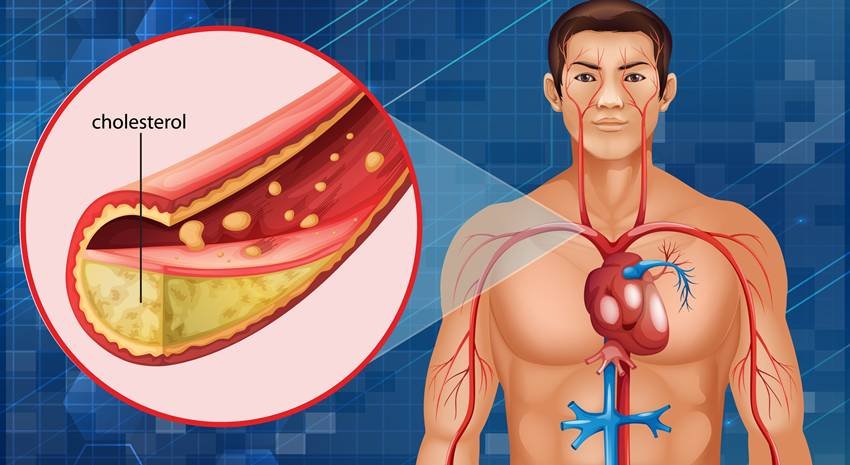 Amla for immunity and skin