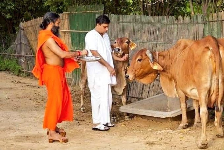 Apamarg decoction benefits