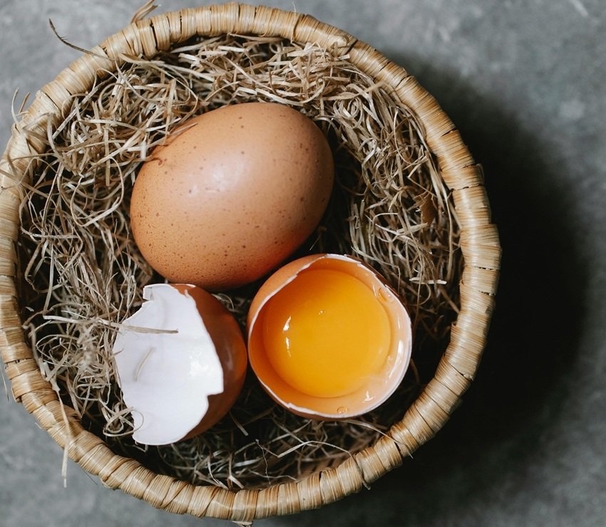 Are white eggs better than brown