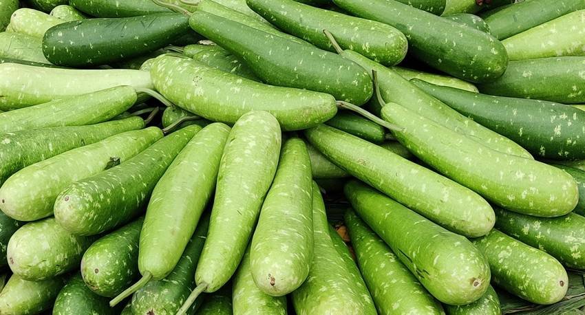 lauki juice for blood pressure