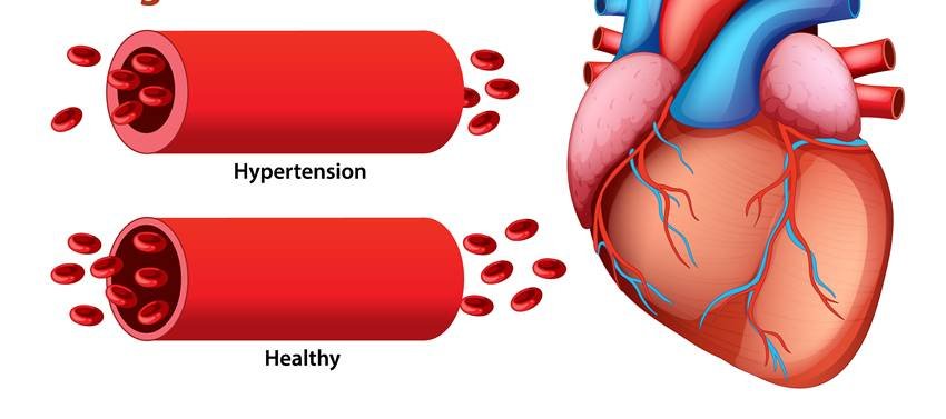 lauki juice for hypertension