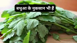 इन 5 तरह के मरीजों के लिए ज़हर है बथुआ, सर्दी में अमृत समान ये सब्जी पहुंचा सकती है नुकसान, देखिए बथुआ के साइड इफेक्ट