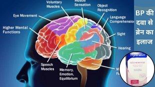 Hydralazine, Brain tumor treatment, Oldest blood pressure drug, Science Advances study, University of Pennsylvania research,