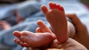 Bihar Crime News, Husband Killed Wife, Katihar News