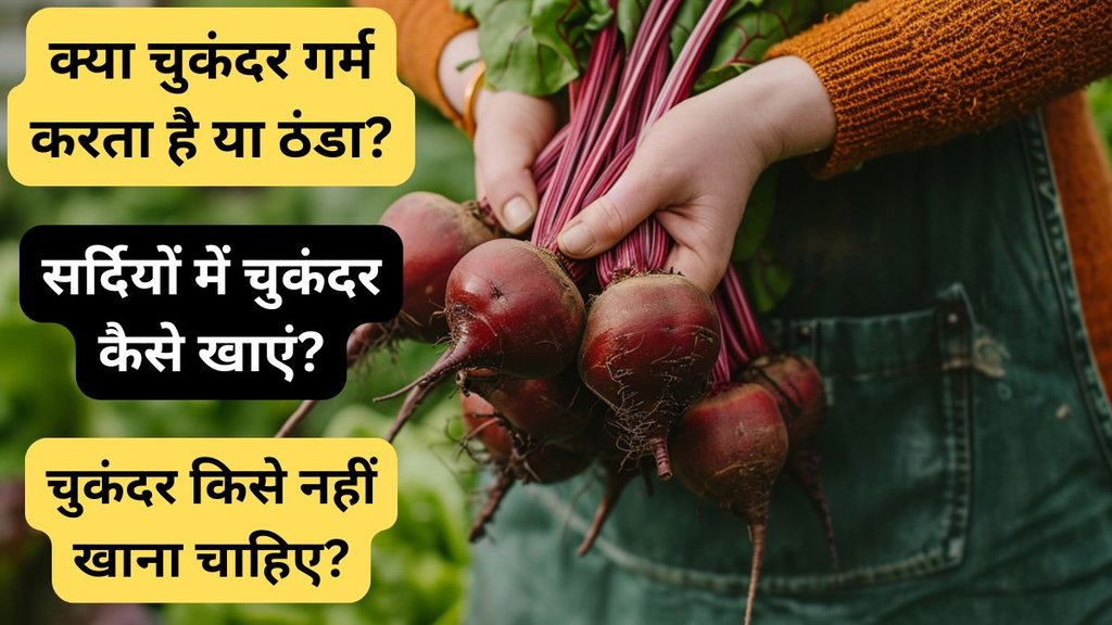 Chukandar Thanda hoti hai ya garam | Can we drink beetroot juice in winter | Beetroot hot or cold Chukandar Thanda hoti hai ya garam | Can we drink beetroot juice in winter | Beetroot hot or cold