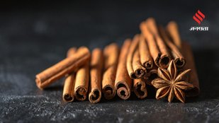 Beginner guide to grow cinnamon