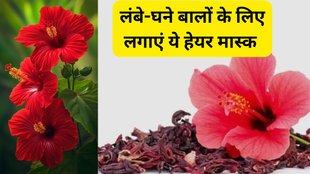 Guddal balo me kaise lagaye