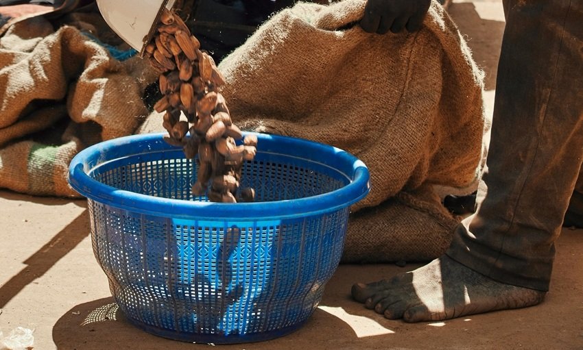 Best dry fruit for energy