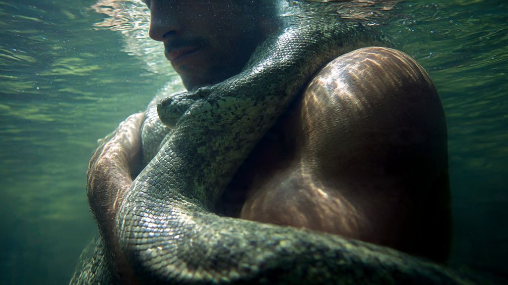 Bizarre News, Hindi News, Trending news Bizarre News, Hindi News, Trending news