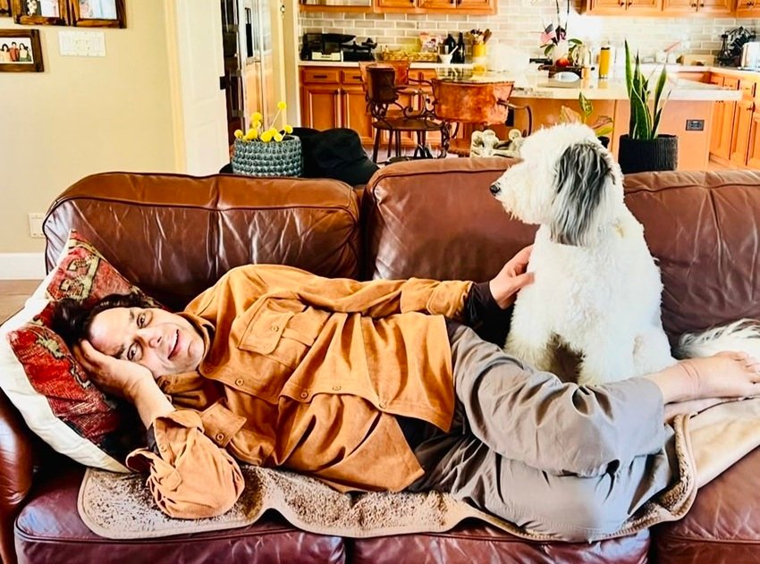 Bollywood actors in politics