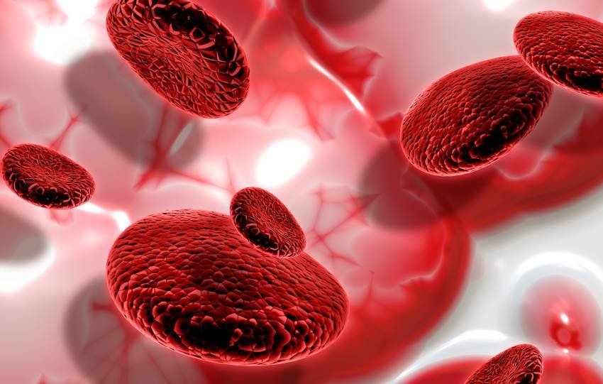 Setu Bandhasana for beginners