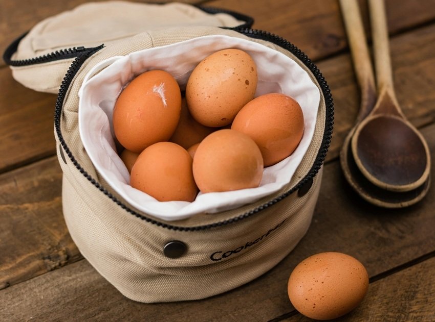 Brown eggs vs white eggs health benefits
