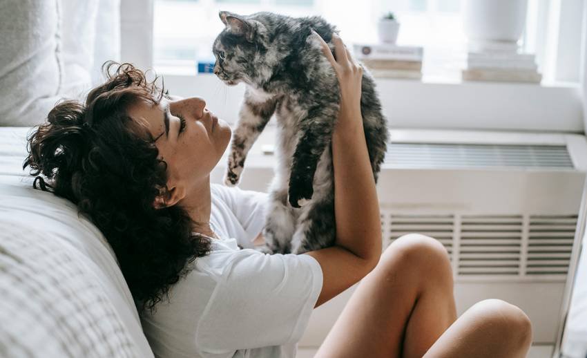 Cat positive energy Vastu