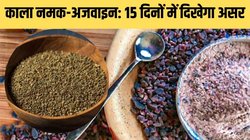अजवाइन और काला नमक का कमाल: सिर्फ 15 दिन खाने से दिखेंगे ये बड़े बदलाव