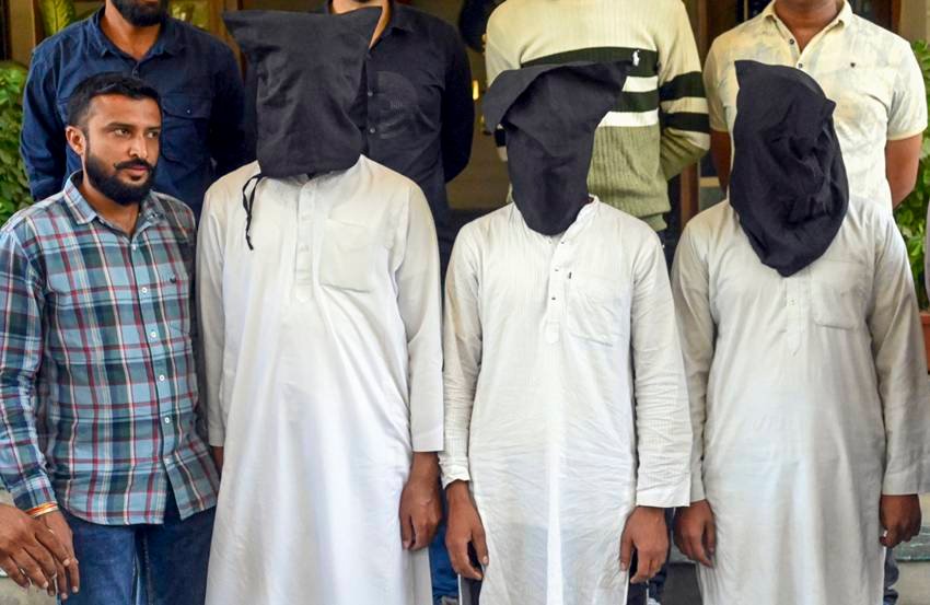 terror network among educated class