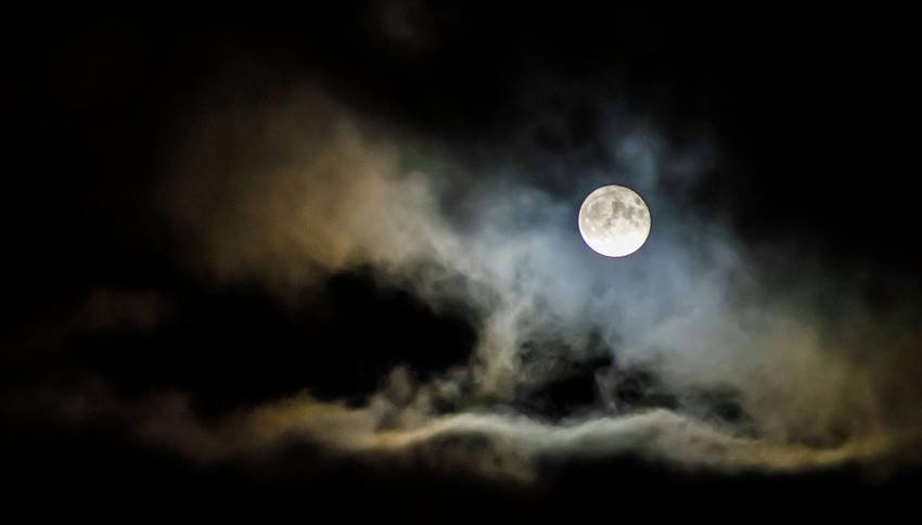 Dreams that indicate good luck