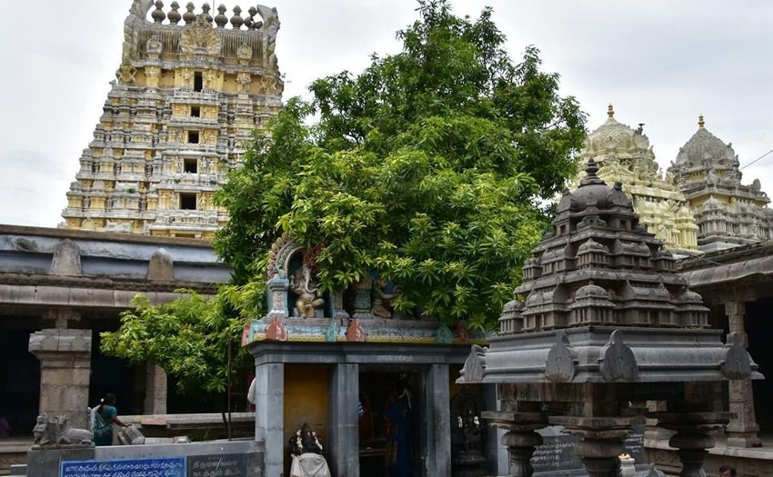 Ekambareswarar Temple (Kanchipuram) 2