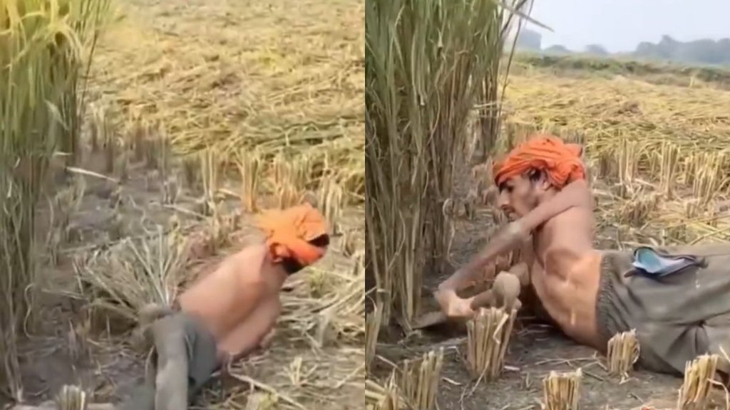 Emotional Viral Video, Viral Video, Trending Video