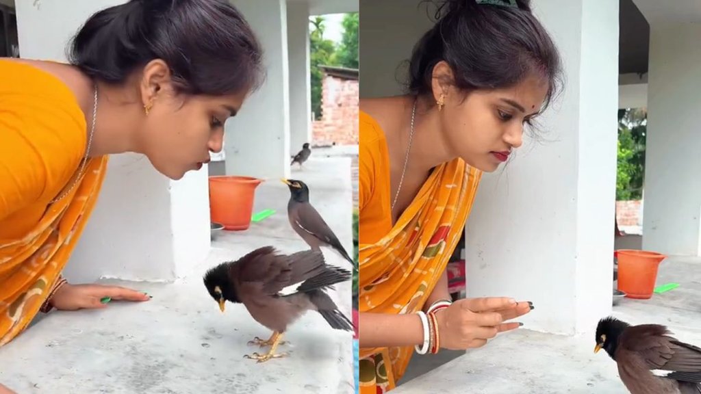 Emotional Viral video, Viral Video, Trending News Emotional Viral video, Viral Video, Trending News