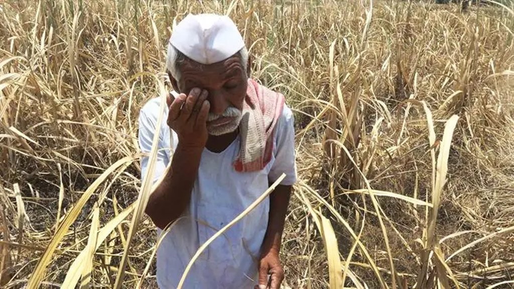 armers compensation, crop loss, PM Fasal Bima Yojana armers compensation, crop loss, PM Fasal Bima Yojana