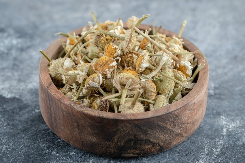 Wooden bowl of dried chamomile on marble background