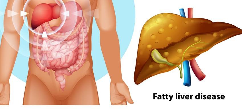 jaggery nutrition benefits