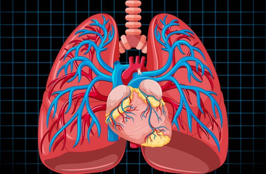 winter warming foods