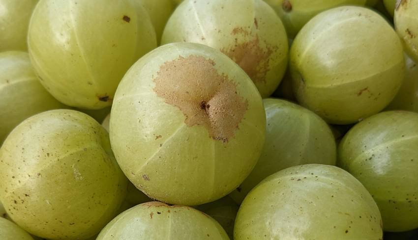 vitamin C powerful fruits