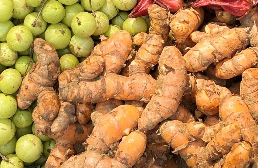 High uric acid control