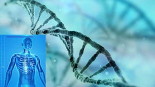 DNA damage, DNA protection, UV rays, pollution effects on DNA