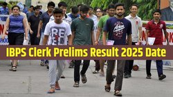 IBPS Clerk Prelims Result 2025: कभी भी जारी किया जा सकता है आईबीपीएस क्लर्क प्रीलिम्स का परिणाम, यहां देखें लेटेस्ट अपडेट