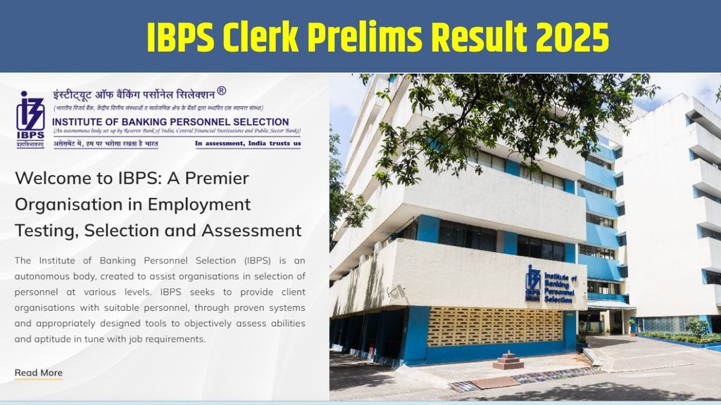IBPS Clerk Prelims Result 2025, IBPS Clerk Result 2025, IBPS Clerk Prelims 2025, IBPS Clerk Vacancy 2025, IBPS Clerk Mains 2025, IBPS Clerk Cut Off 2025 IBPS Clerk Prelims Result 2025, IBPS Clerk Result 2025, IBPS Clerk Prelims 2025, IBPS Clerk Vacancy 2025, IBPS Clerk Mains 2025, IBPS Clerk Cut Off 2025