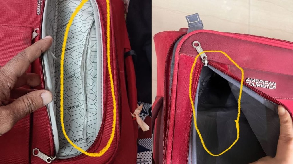 Indigo Passenger, Indigo Passenger News, Indigo Flight Theft