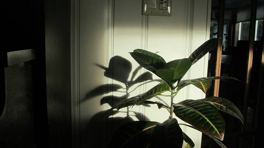 Home air pollution solutions