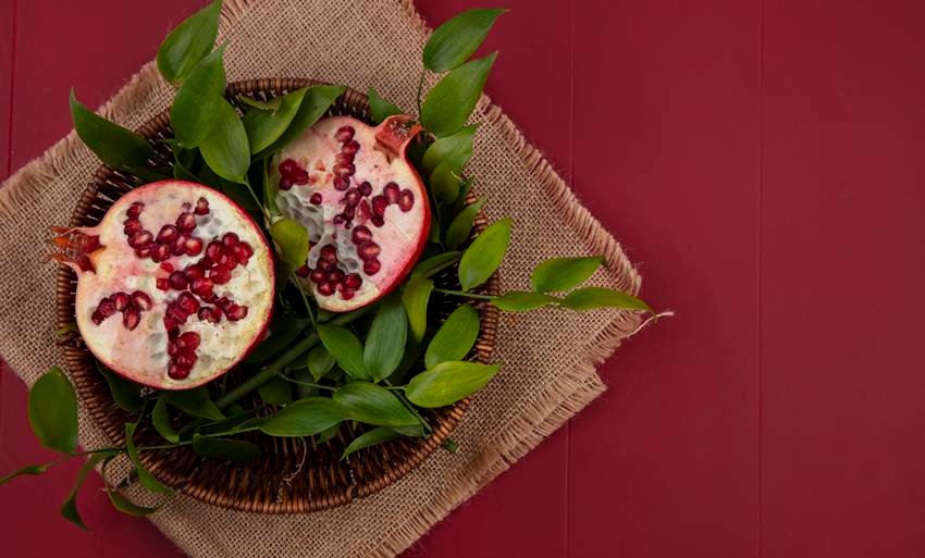 Patanjali Acharya Balkrishna tips