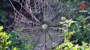 Innovative materials