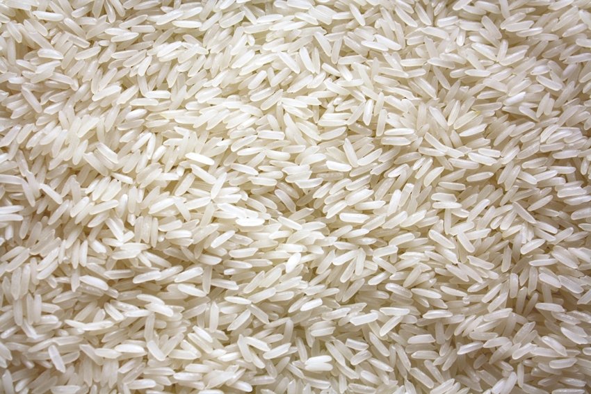 Katarni Rice GI tag