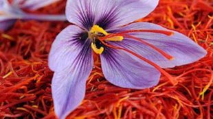 Kesar for glowing skin , saffron for glowing skin, How to use saffron in winter