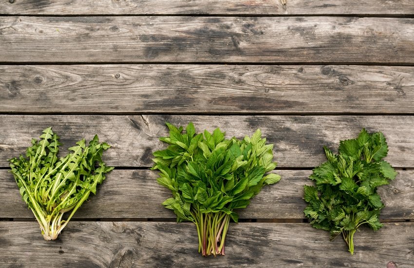 Leafy Vegetables That Keep You Strong and Healthy This Winter