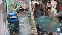 तेंदुए को पकड़ने गए पुलिसवालों के छूटे पसीने, रेस्क्यू के दौरान कर दिया हमला; रोंगटे खड़े कर देगा वायरल वीडियो