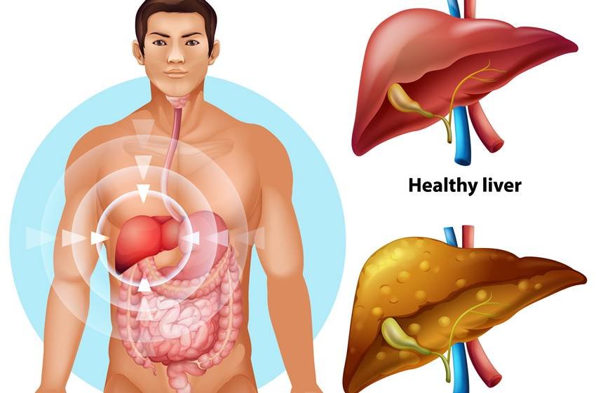 best drink for fatty liver