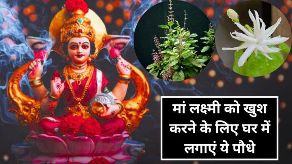 Vastu Tips For Plants, Vastu Shastra for Plants, Lucky Plants Vastu Tips, Lucky Plants Vastu Shastra, Vastu Shastra, Vastu Tips, घर के मुख्य द्वार पर कौन सा पौधा लगाएं, मां लक्ष्मी को प्रसन्न करने वाले पौधे, घर के दरवाजे पर पौधे लगाने के वास्तु नियम वास्तु शास्त्र में शुभ पौधे, main door vastu plants for wealth, ghar ke entrance ke liye lucky plants, vastu tips for wealth and prosperity, money attracting plants for home, ghar ke entrance pe kya lagaye good luck ke liye, tulsi plant vastu benefits, indoor plants for positive energy