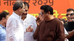 Maharashtra Nikay Chunav, Maharashtra Politics, Uddhav Raj Thackeray